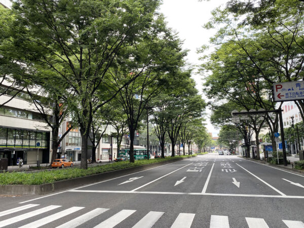 #宮城県#宮城県仙台市#街路樹#道路の無料写真素材