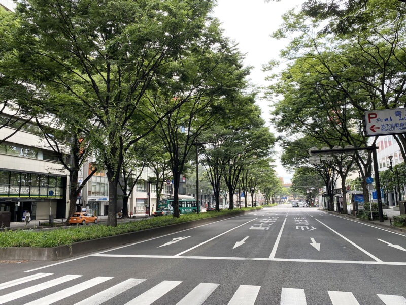 #宮城県,#宮城県仙台市,#街路樹,#道路の無料写真素材