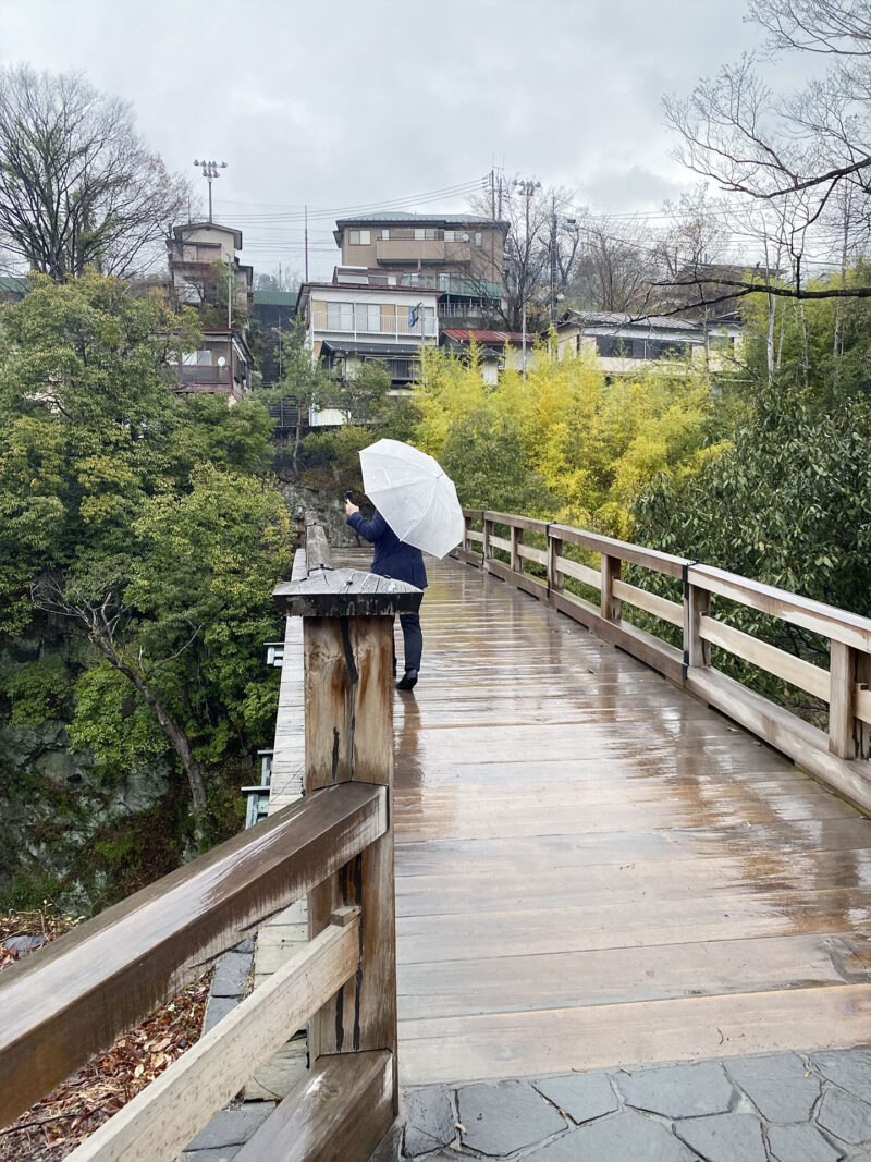 #山梨県#山梨県大月市#橋#猿橋#草木#雨の無料写真素材