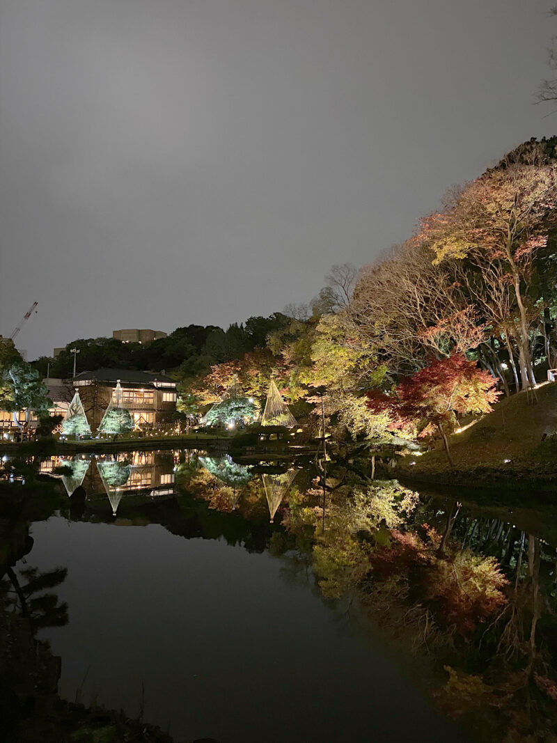 #イルミネーション,#夜,#東京都,#東京都文京区,#池,#自然の無料写真素材