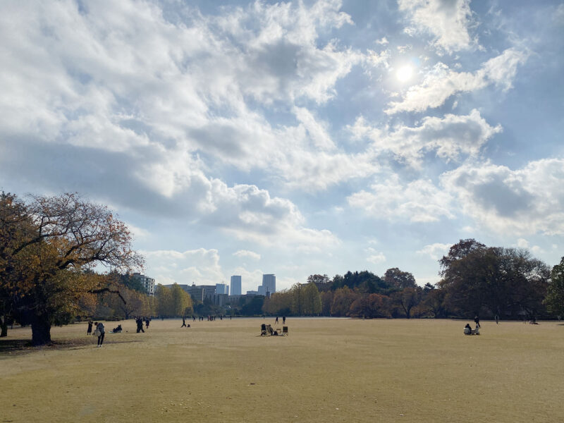 #公園#原っぱ#東京都#東京都新宿区#絶景の無料写真素材