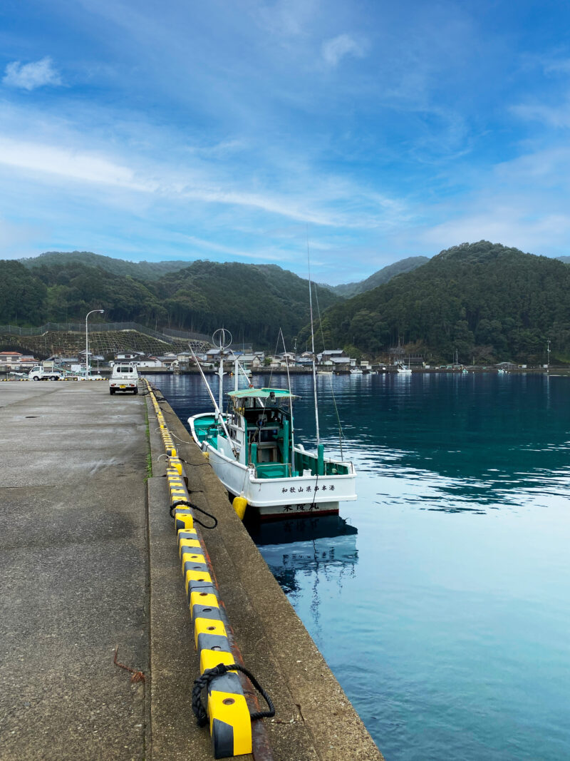 #和歌山県#海#港#那智勝浦町の無料写真素材