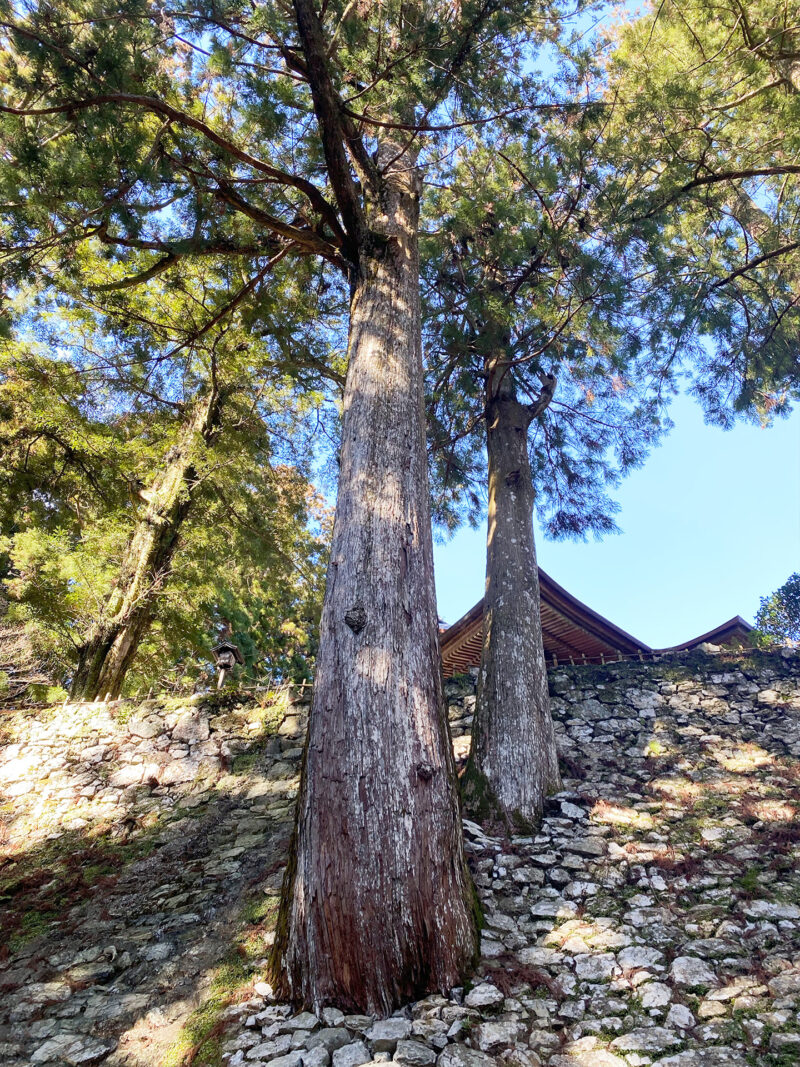 #太龍寺#寺#徳島県#自然#那賀郡那賀町の無料写真素材