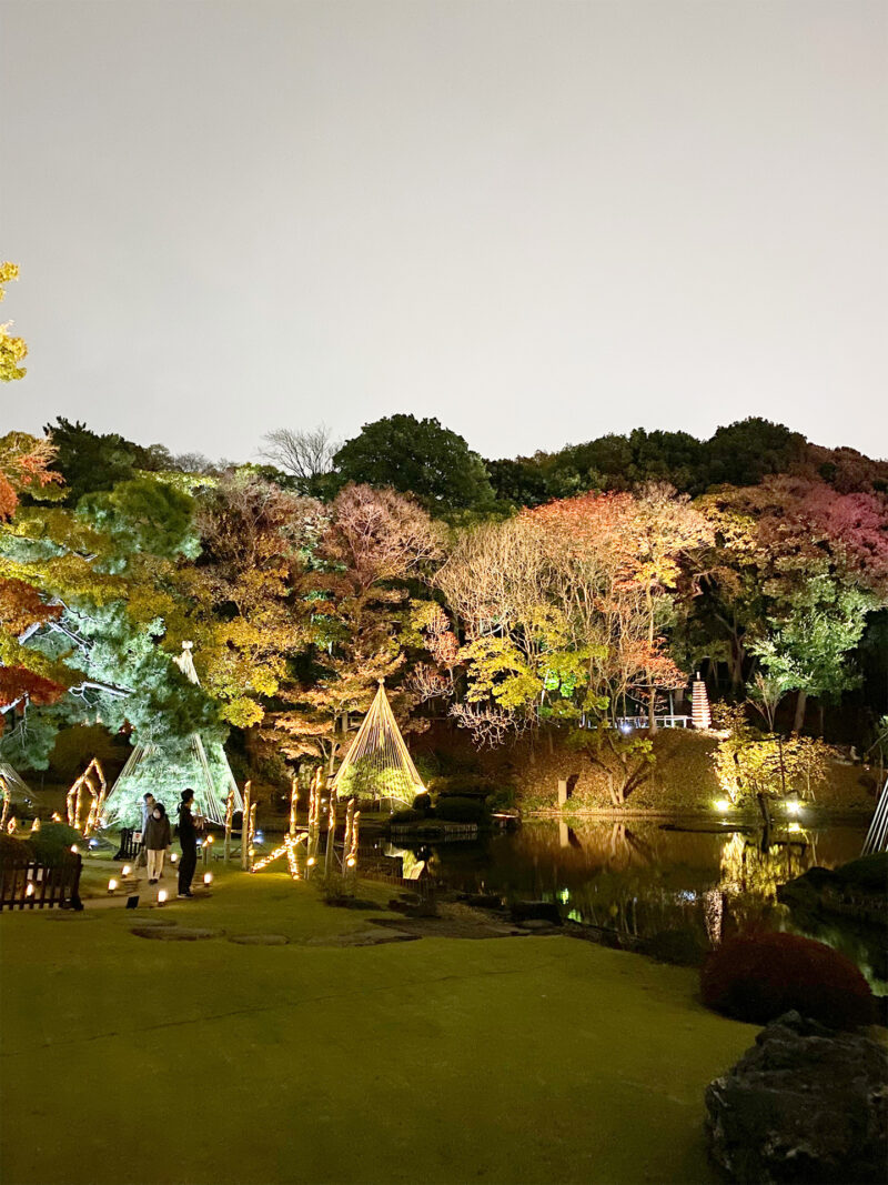 #イルミネーション,#夜,#東京都,#東京都文京区,#池,#自然の無料写真素材