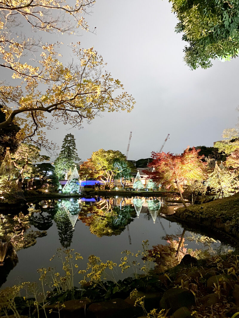 #イルミネーション,#夜,#東京都,#東京都文京区,#池,#自然の無料写真素材