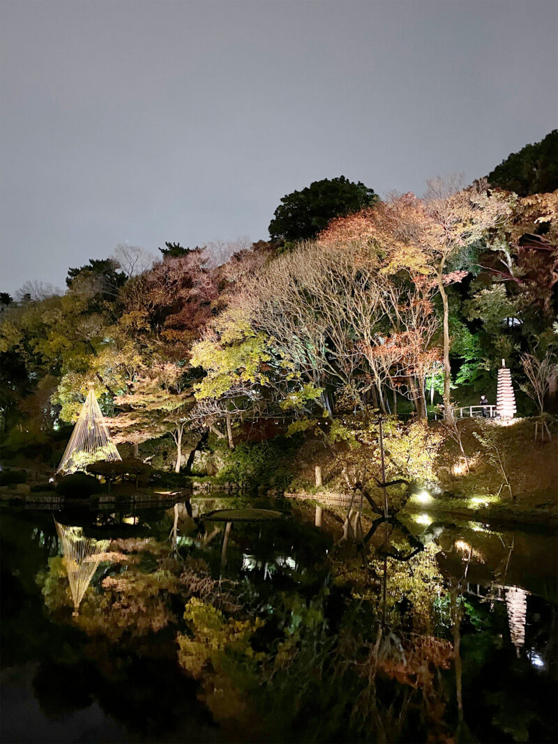 #夜,#東京都,#東京都文京区,#池,#自然の無料写真素材