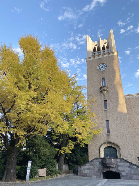 #ノスタルジー#大学#早稲田大学#東京都#東京都新宿区#草木の無料写真素材