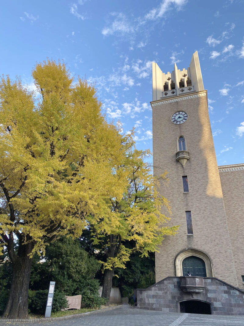 #ノスタルジー#大学#早稲田大学#東京都#東京都新宿区#草木が関連付けられた記事