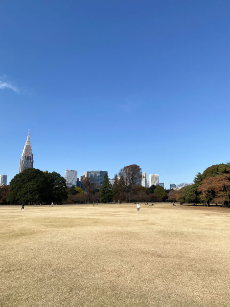 #公園#原っぱ#東京都#東京都新宿区の無料写真素材