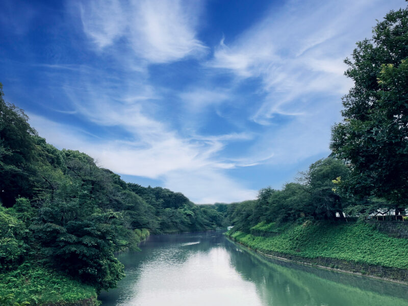 #川,#東京都,#東京都千代田区,#絶景,#自然の無料写真素材