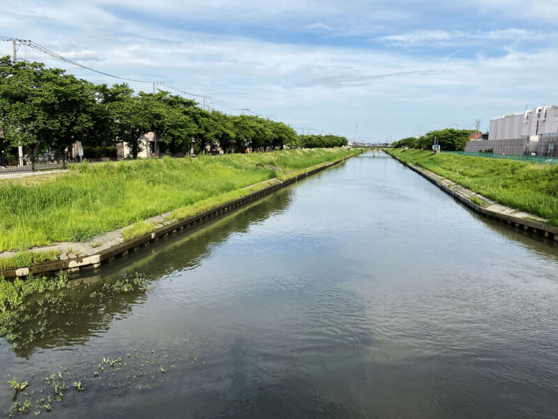 #のどか,#埼玉県,#埼玉県越谷市,#川の無料写真素材