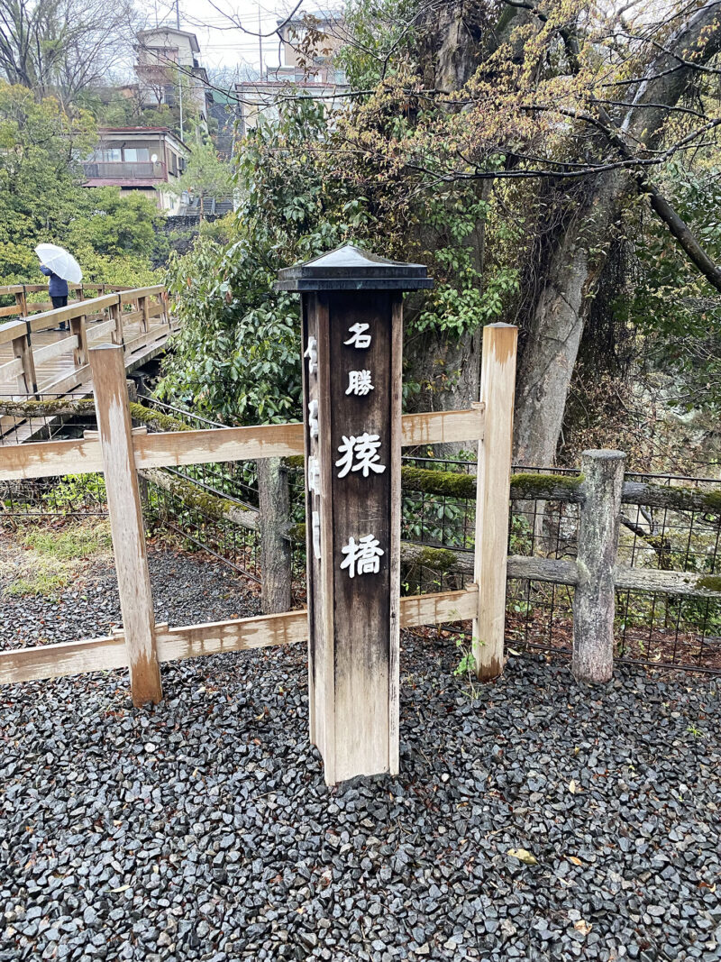 #山梨県,#山梨県大月市,#橋,#猿橋,#草木,#雨の無料写真素材