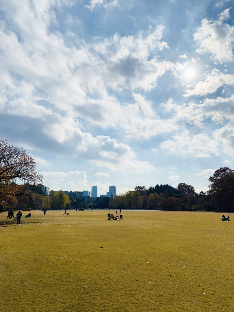 #原っぱ#東京都#東京都新宿区の無料写真素材