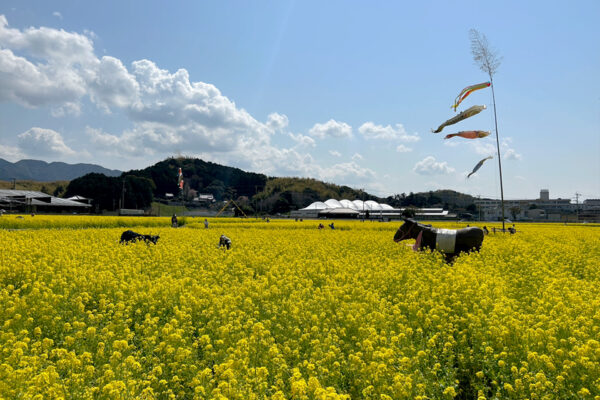 #のどか#福岡県#福岡県古賀市…の無料写真素材