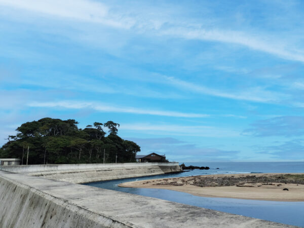 #海#茨城県#茨城県日立市の無料写真素材