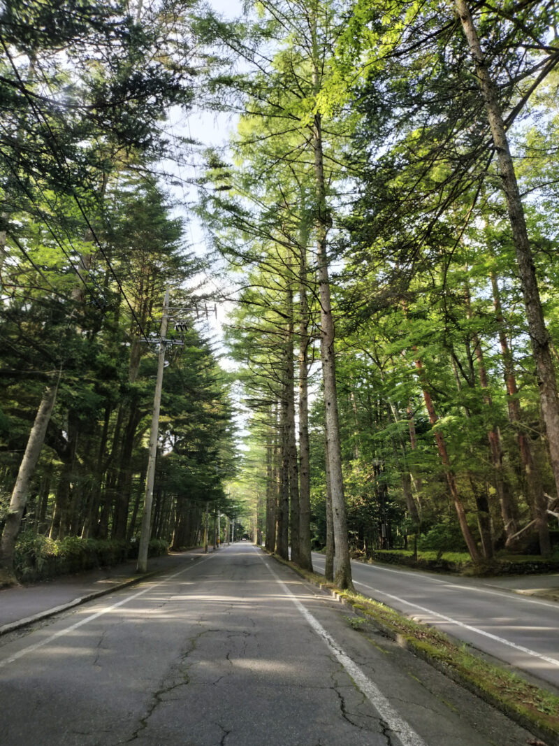 #自然,#道,#長野県,#長野県軽井沢町の無料写真素材