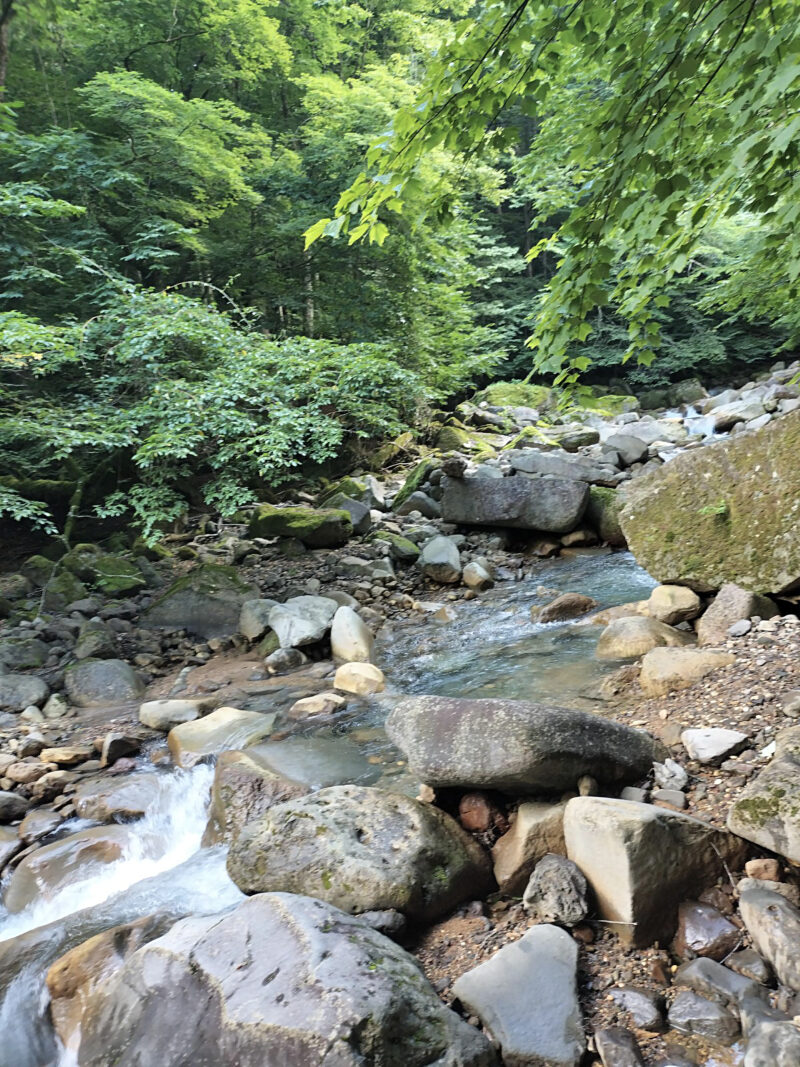 #川,#栃木県,#栃木県那須塩原市,#自然の無料写真素材