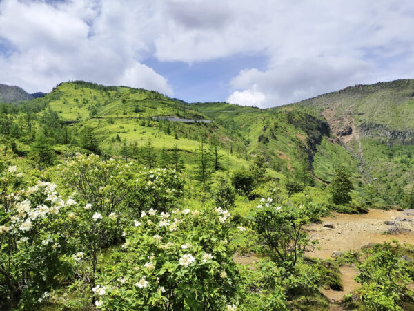 #のどか#山#自然#長野県#長野県軽井沢町の無料写真素材