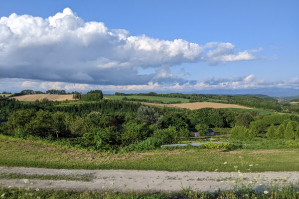 #北海道#富良野市#自然の無料写真素材