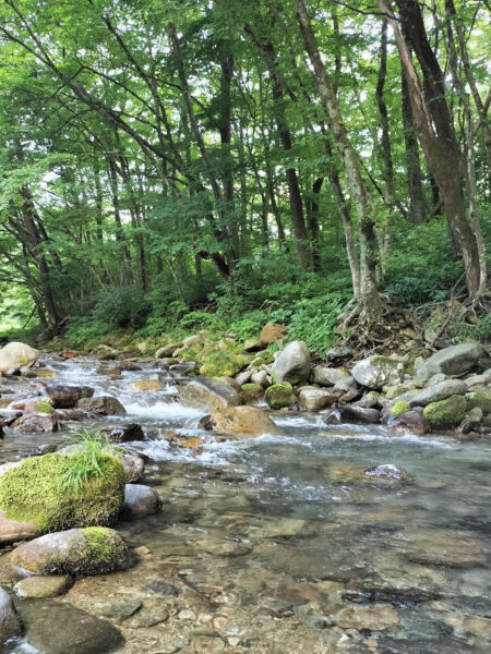 #川#栃木県#栃木県那須塩原市#自然の無料写真素材