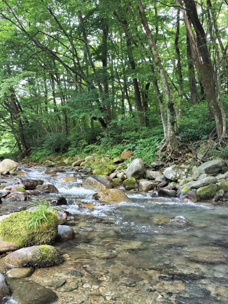 #川,#栃木県,#栃木県那須塩原市,#自然の無料写真素材