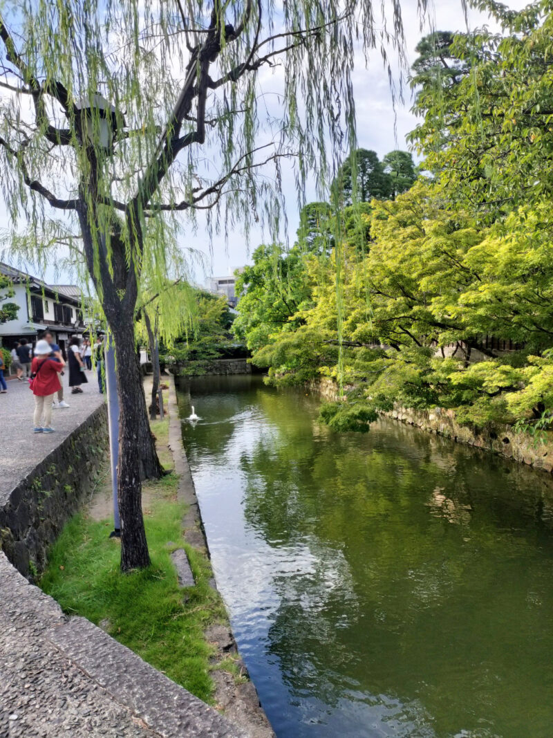 #倉敷川河畔#岡山県#岡山県倉敷市#川の無料写真素材