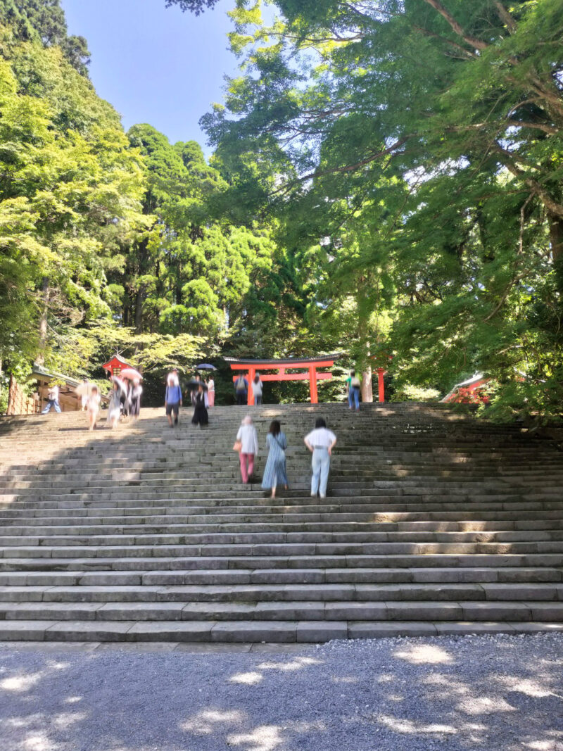 #霧島神宮,#鹿児島県,#鹿児島県霧島市の無料写真素材