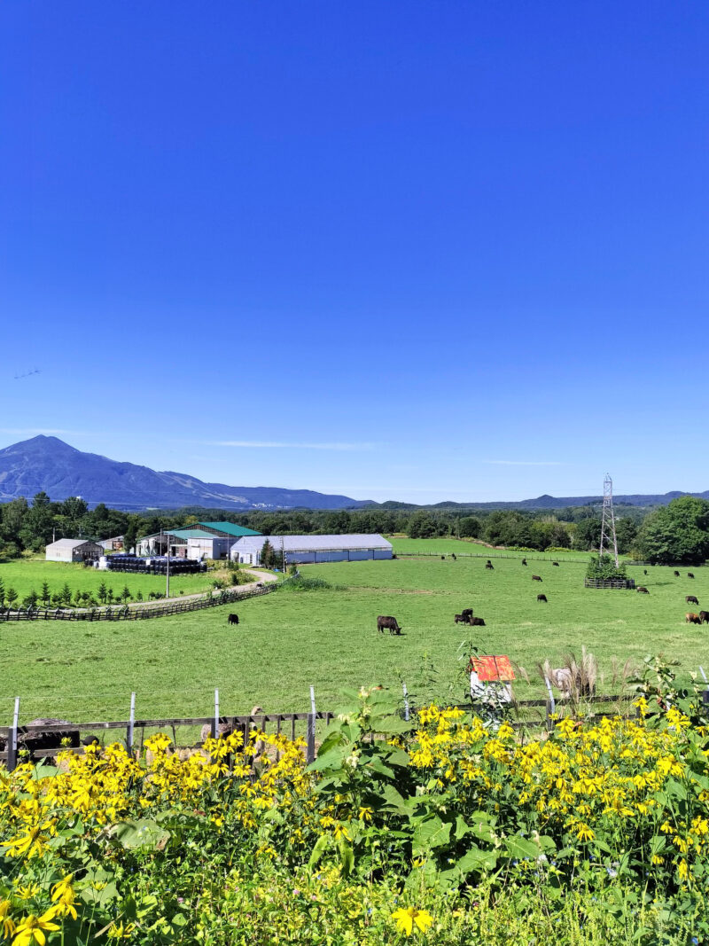 #北海道,#自然,#虻田郡ニセコ町の無料写真素材