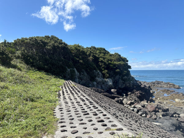 #自然#青い空青い海#鹿児島県#鹿児島県指宿市の無料写真素材