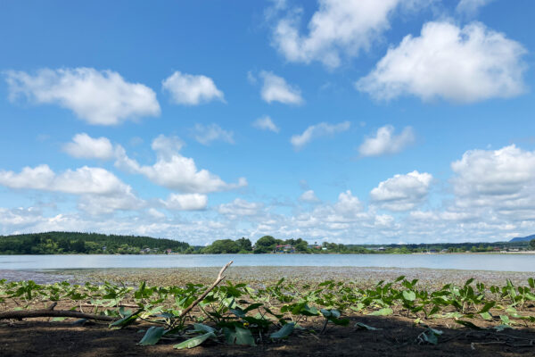 #秋田県#秋田県秋田市の無料写真素材