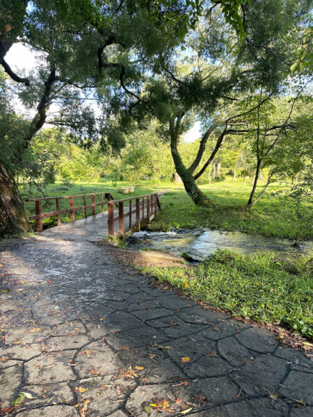 #福島県#耶麻郡北塩原村#自然の無料写真素材