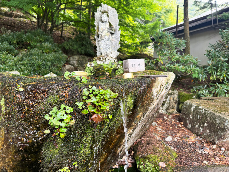 #栃木県,#栃木県日光市,#自然の無料写真素材