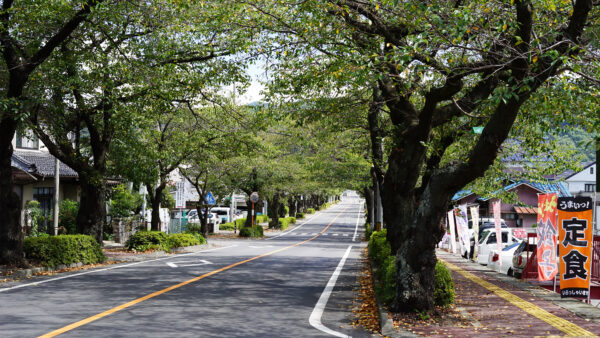 #上伊那郡辰野町#長野県の無料写真素材