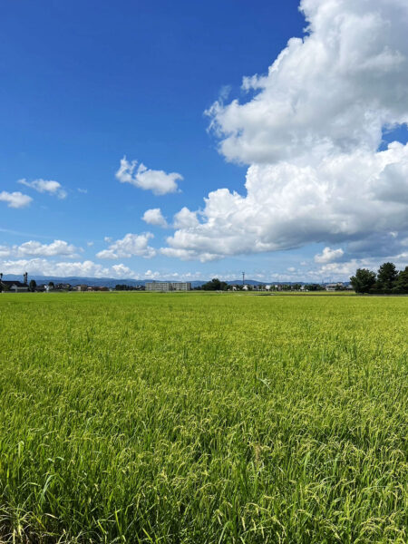 #富山県#富山県高岡市#田畑の無料写真素材