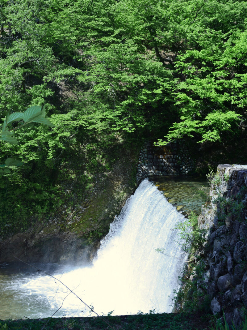 #五十沢キャンプ場,#川,#新潟県,#新潟県南魚沼市,#自然の無料写真素材