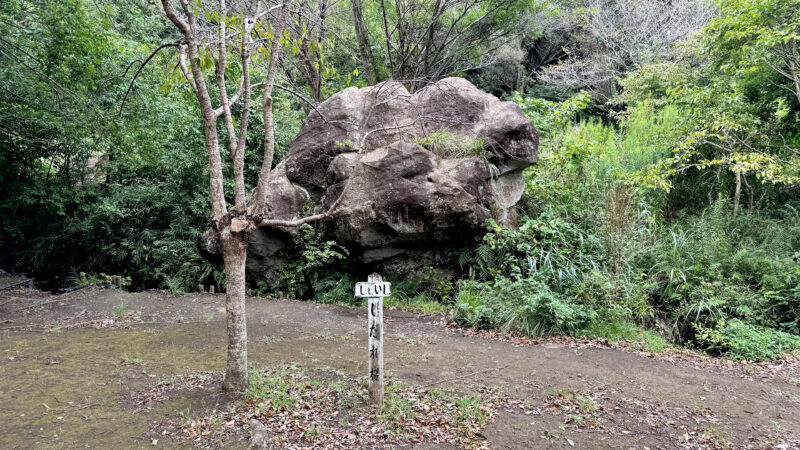 #しし石#神奈川県#神奈川県鎌倉市#鎌倉中央公園の無料写真素材