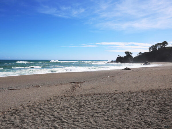 #海#砂浜#青い空青い海#高知県#高知県高知市の無料写真素材