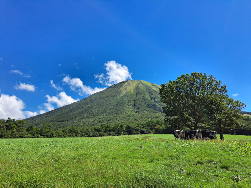 #のどか#山#自然#西伯郡大山町#鳥取県の無料写真素材