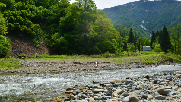 #五十沢キャンプ場#川#新潟県#新潟県南魚沼市#自然の無料写真素材