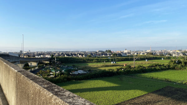 #埼玉県#埼玉県川越市#田畑#町並みの無料写真素材