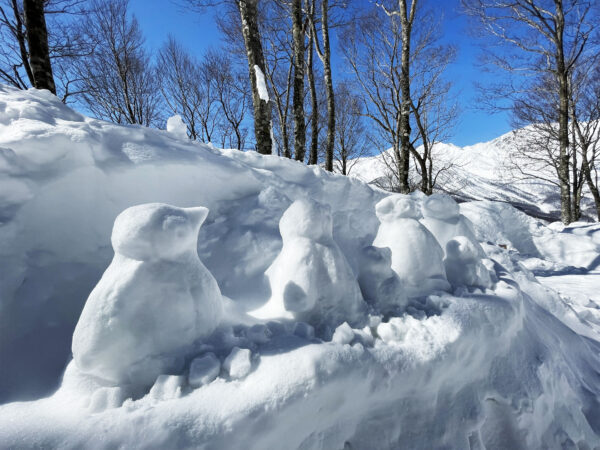 #長野県#長野県白馬村#雪#雪像の無料写真素材