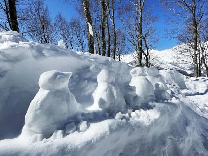 #長野県#長野県白馬村#雪#雪像が関連付けられた記事