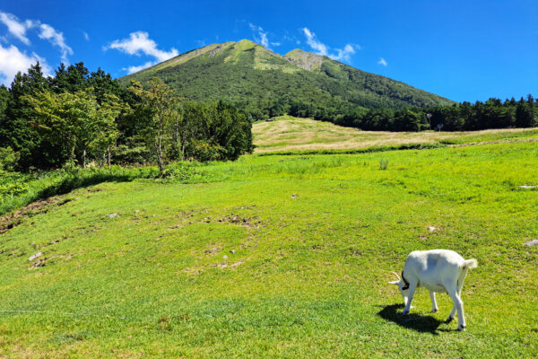 #西伯郡大山町#鳥取県の無料写真素材