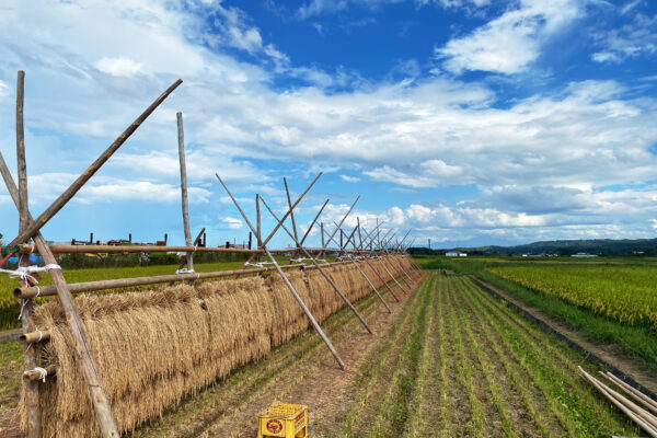 #島根県#島根県松江市の無料写真素材