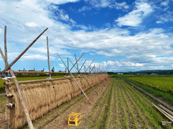 #島根県#島根県松江市#畑の無料写真素材