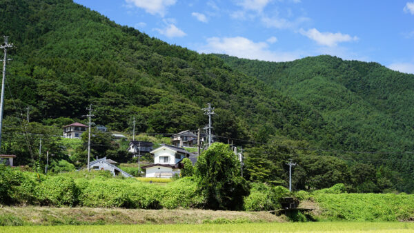 #上伊那郡辰野町#自然#長野県の無料写真素材