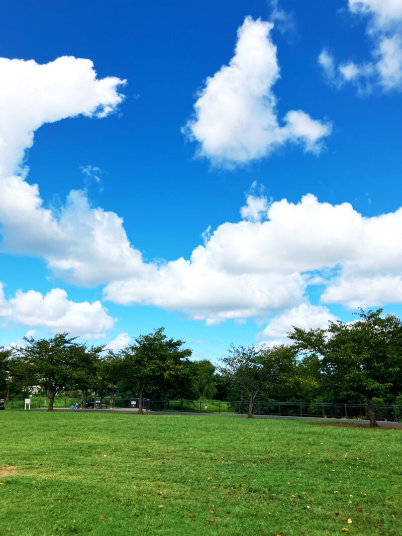 #千葉県,#千葉県船橋市,#自然の無料写真素材