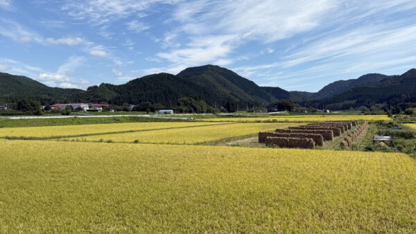 #田畑#秋田県#秋田県大館市#自然の無料写真素材