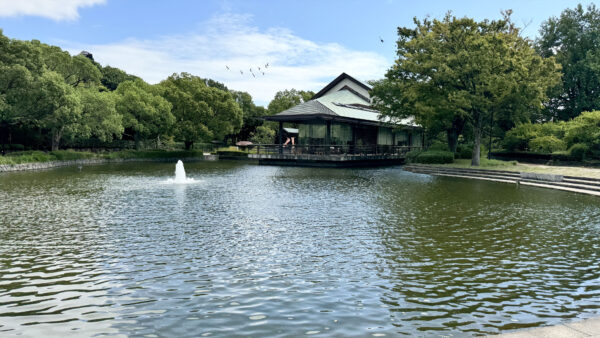 #噴水#池#神奈川県#神奈川県平塚市#自然の無料写真素材