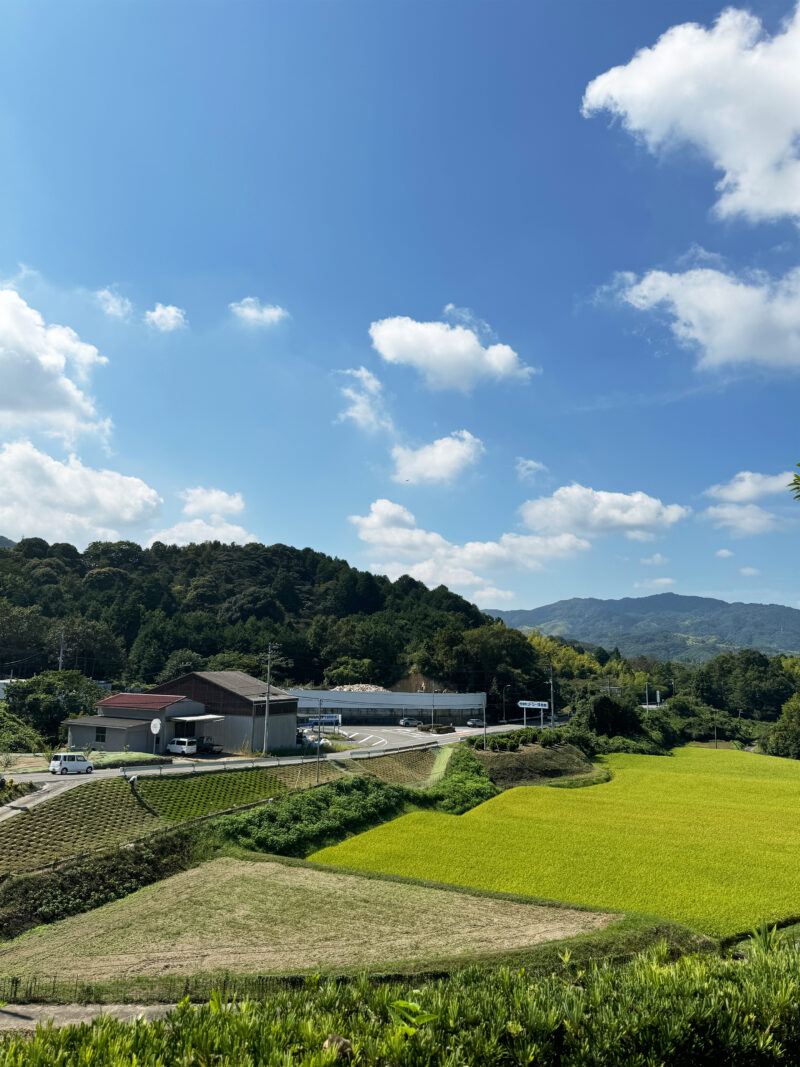 #のどか#愛媛県#愛媛県今治市#田畑#自然の無料写真素材